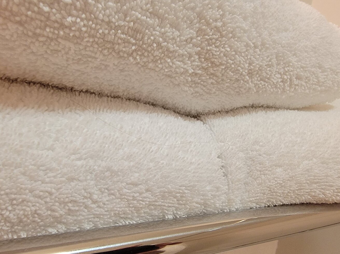 米西索加机场企业中心万豪广场套房酒店主图