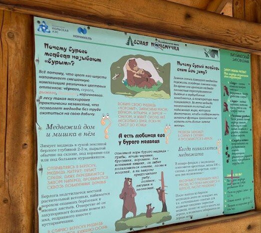 Lapland Nature Reserve-Murmansk Oblast必去景点