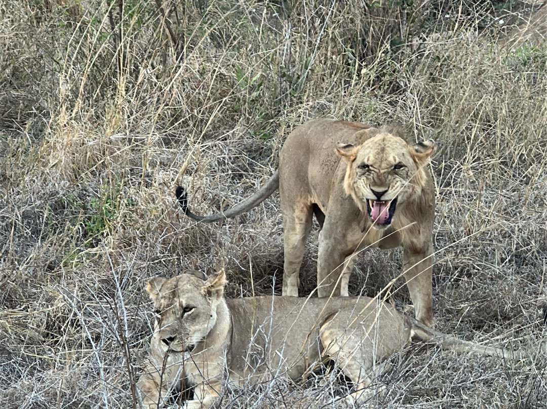 Travel Tamaro Adventures-迪亚尼必去景点