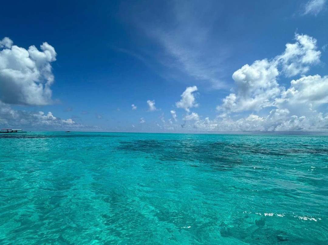 Mnemba Island-姆内巴必去景点