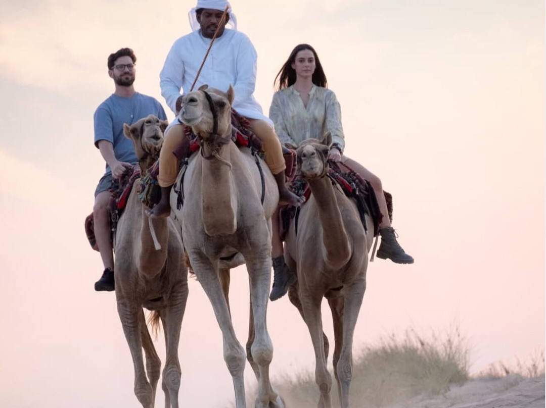 The Camel Farm-迪拜必去景点