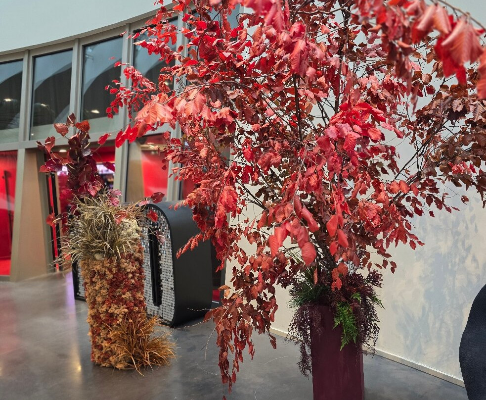 Casino Middelkerke-Middelkerke必去景点