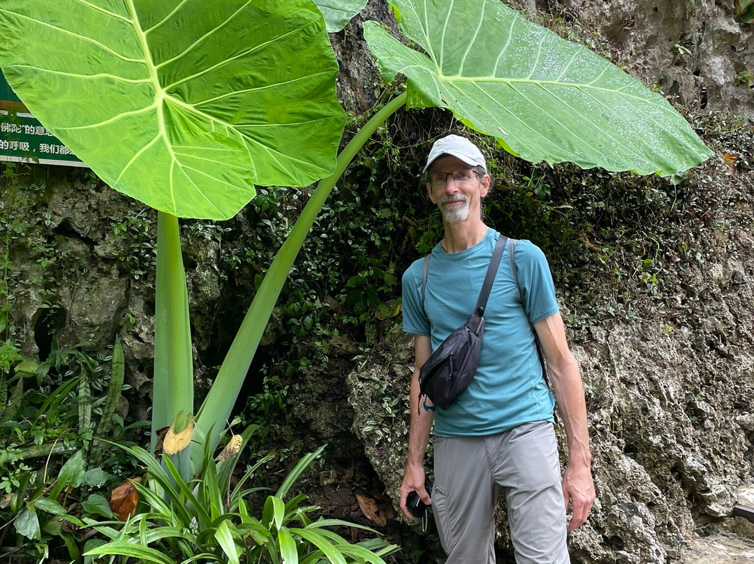 清佬王家山-清佬必去景点