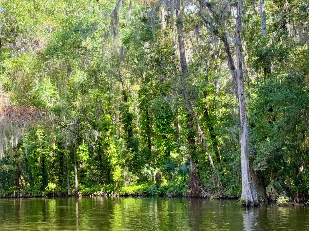 Mount Dora Boating Center & Marina-Mount Dora必去景点
