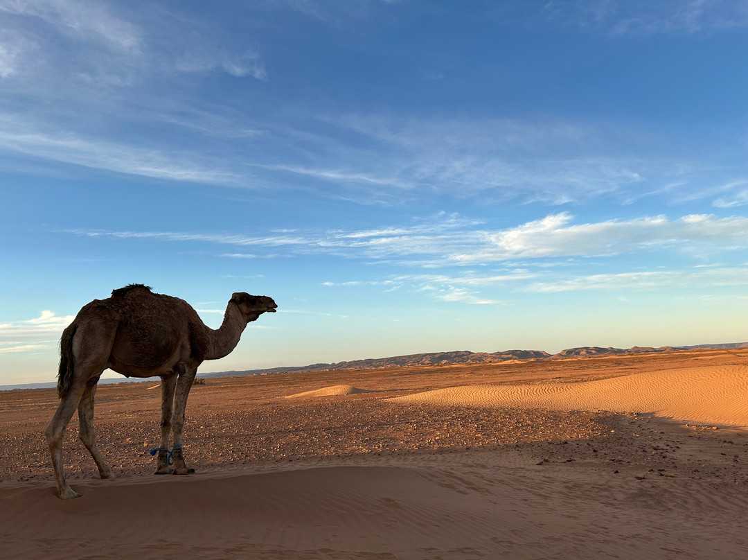 Auberge Kasbah Touareg主图