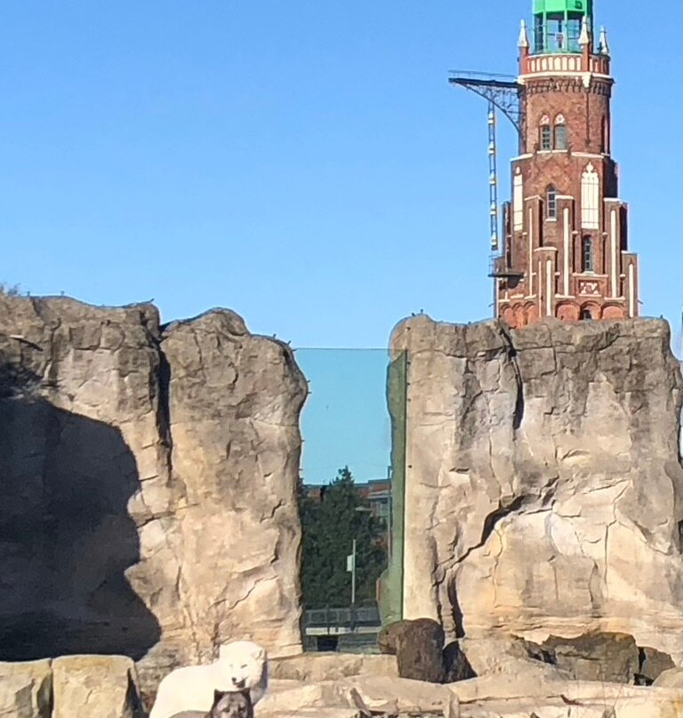 Zoo am Meer-不来梅港必去景点