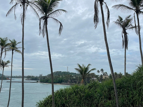 Uminda Sri Lanka Tours-Sirimalwatta必去景点