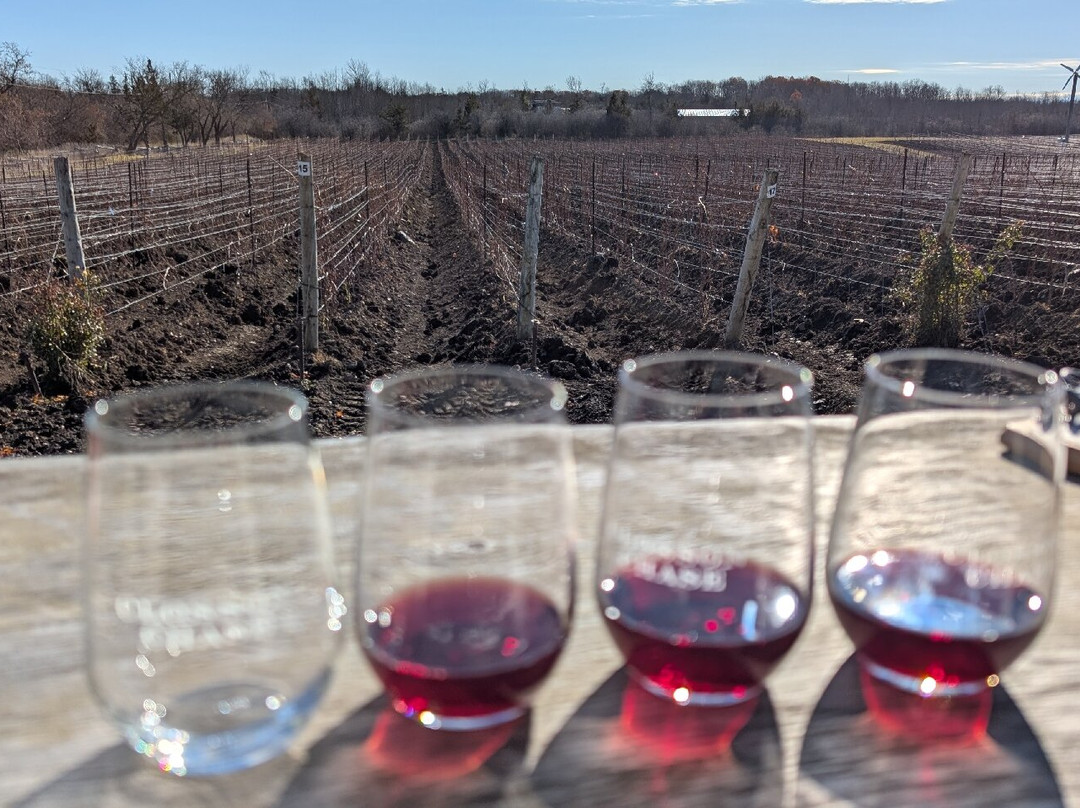 County VIP Tours-Prince Edward必去景点