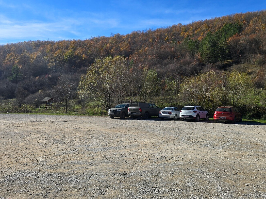 BEAR SANCTUARY Prishtina-普里什蒂纳必去景点