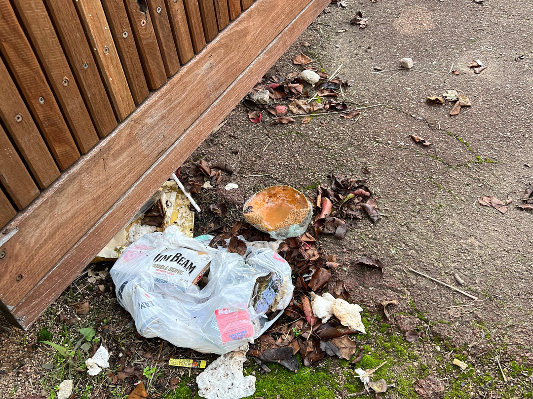 The Riversleigh主图