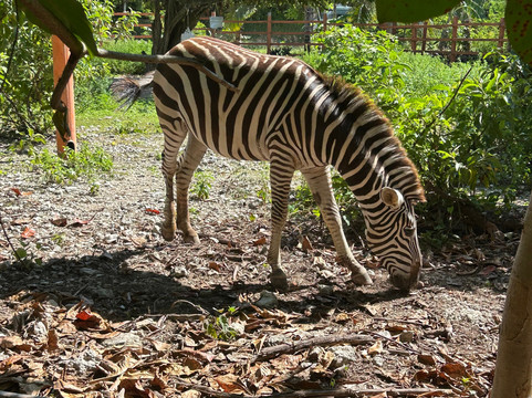 Tulum Adventure-图伦必去景点