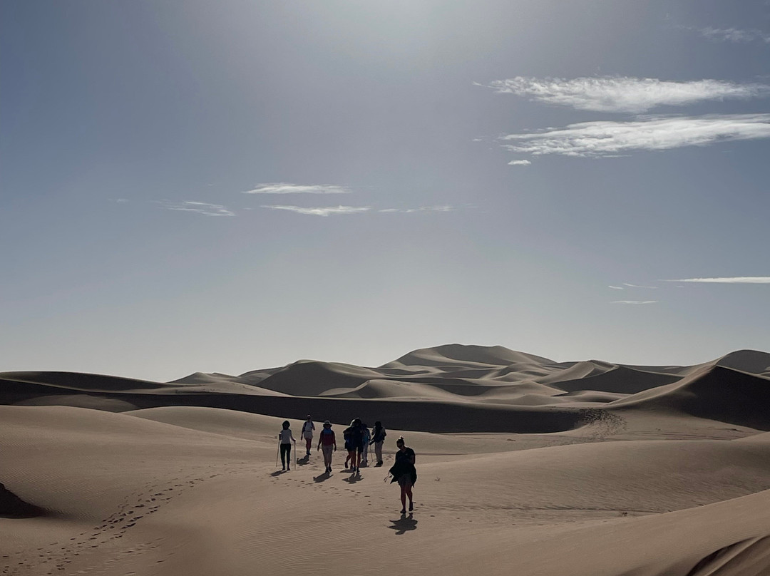 Racines du Désert-迈哈米德必去景点
