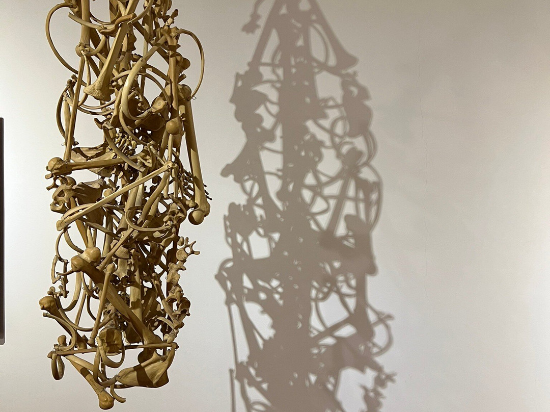 Museo Provincial de Bellas Artes Franklin Rawson-圣胡安省必去景点