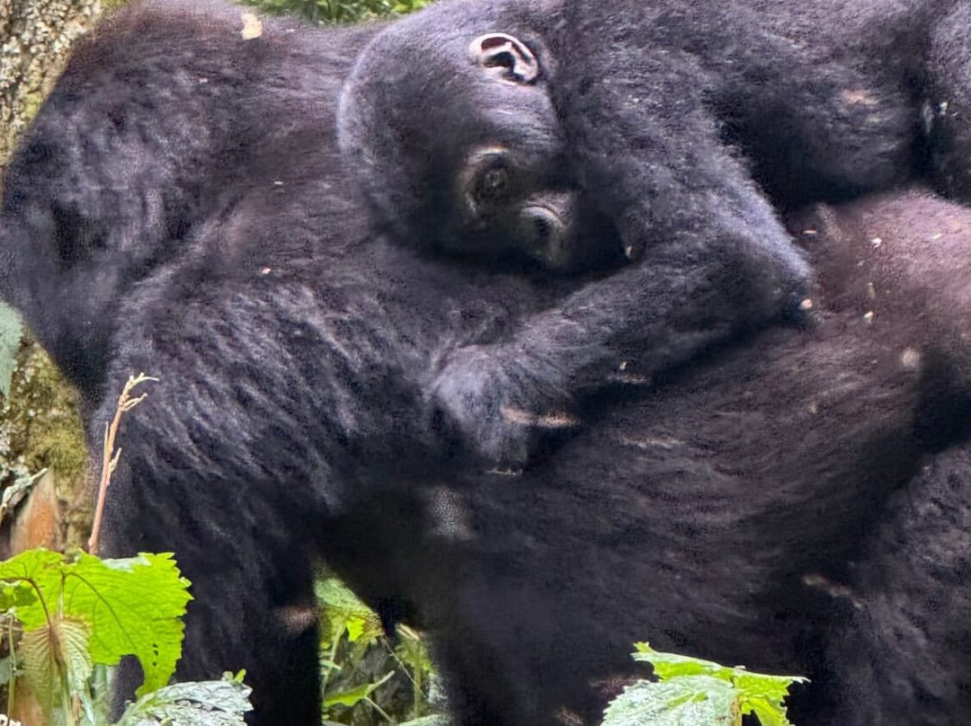 Katsam Adventures-吉佳利必去景点