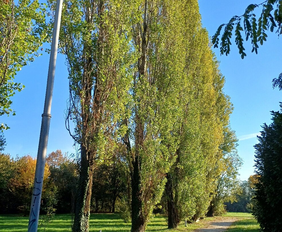 Parco Dei Tigli-切萨诺马代尔诺必去景点