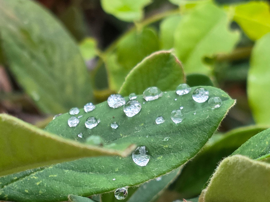 L'atelier Bota-Trets必去景点