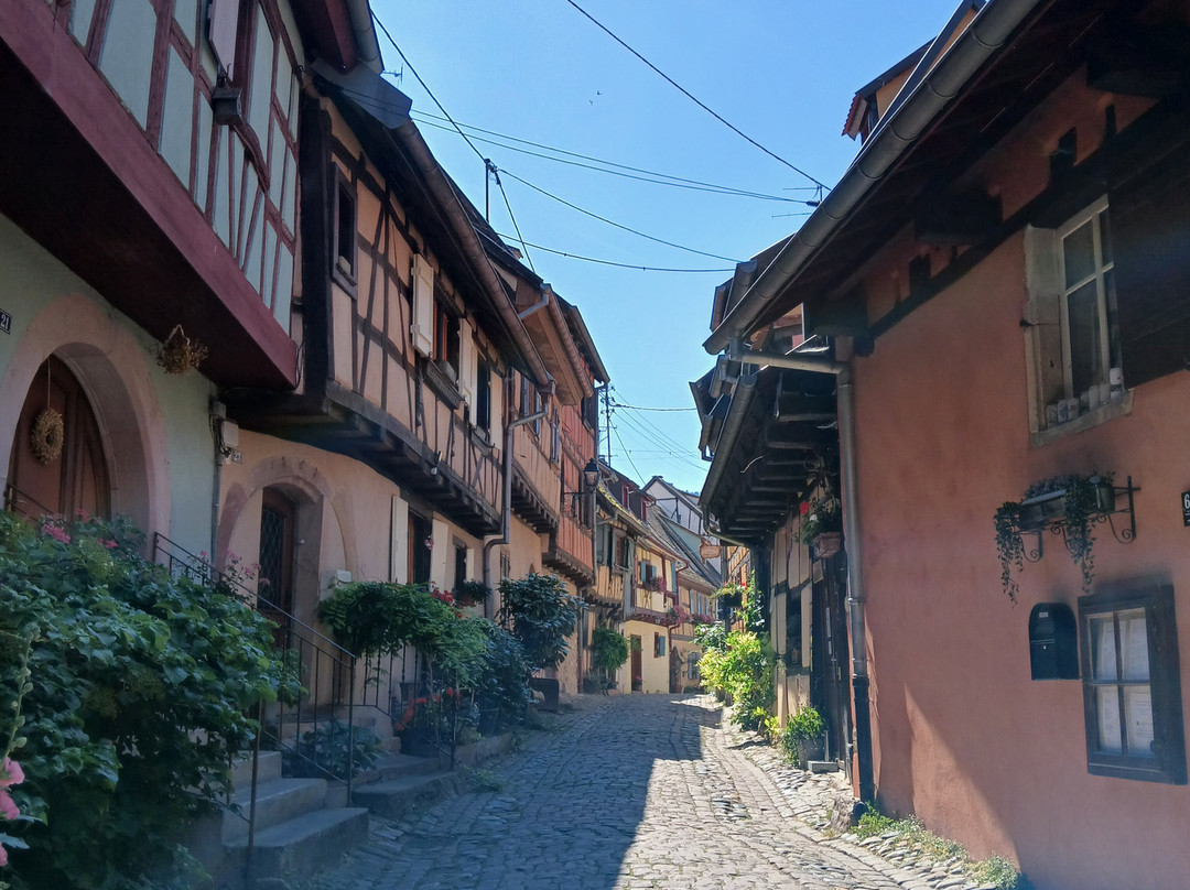 Vieille ville d'Eguisheim-艾古斯汉必去景点