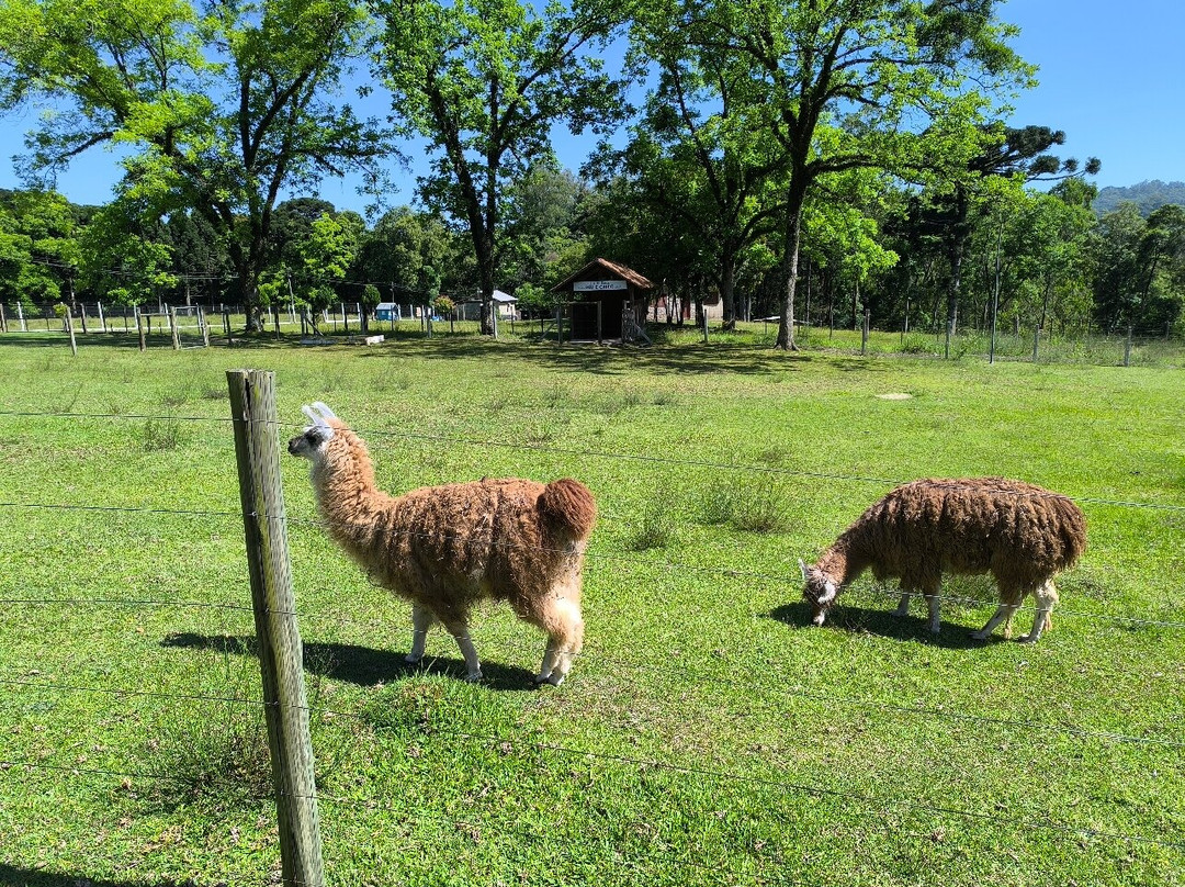 Lote20 Hotel Boutique主图