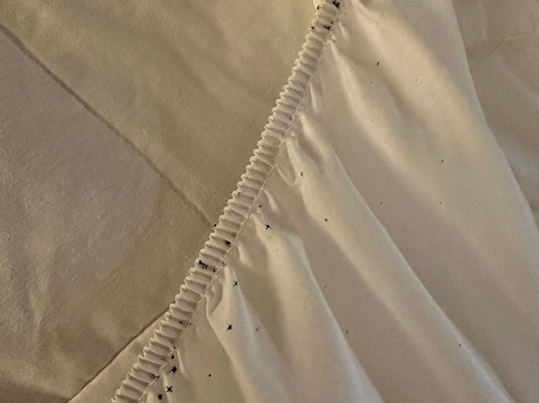 Country Inn & Suites by Radisson, Salisbury, MD主图