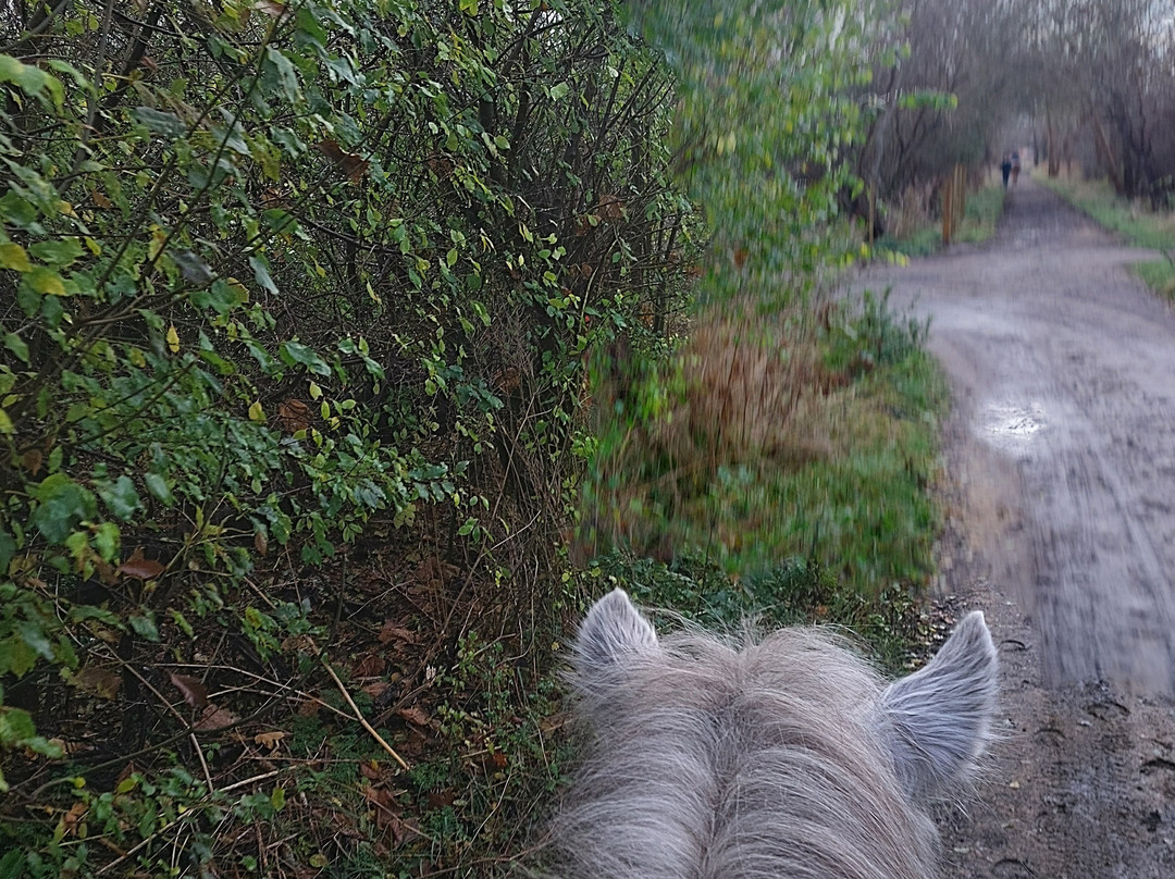 CPH:RIDE-德拉厄必去景点