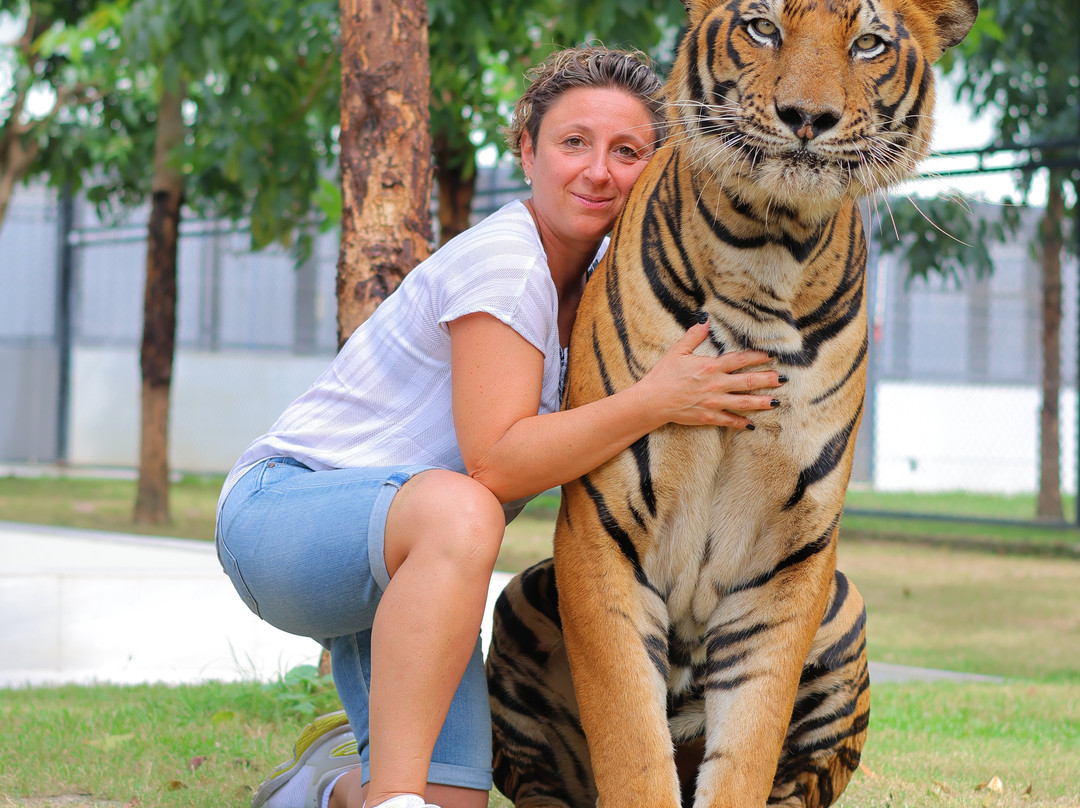 Tiger World Thailand-丹能沙都必去景点