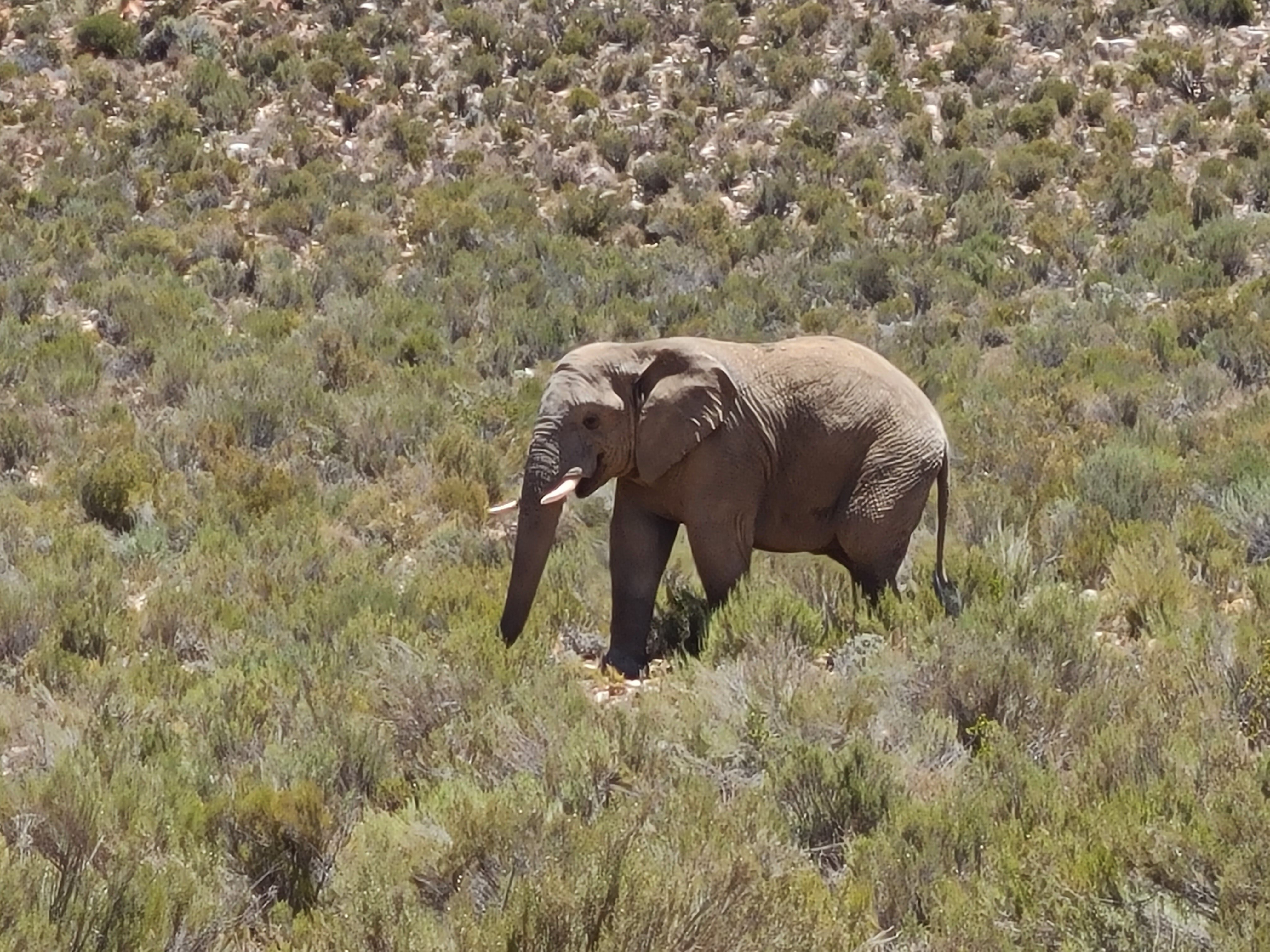 Aquila Private Game Reserve-官方