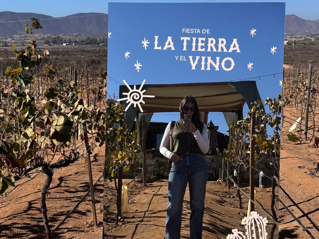 Xecue Vinicola-Valle de Guadalupe必去景点