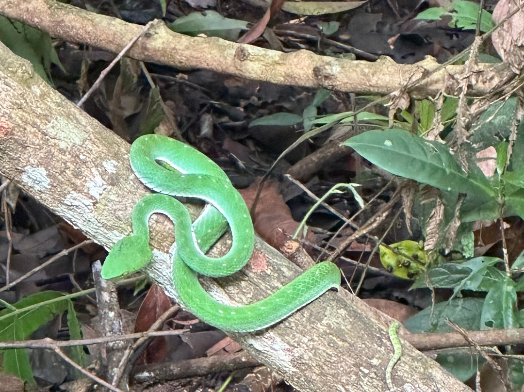 Khoa Yai and Beyond-考艾国家公园必去景点