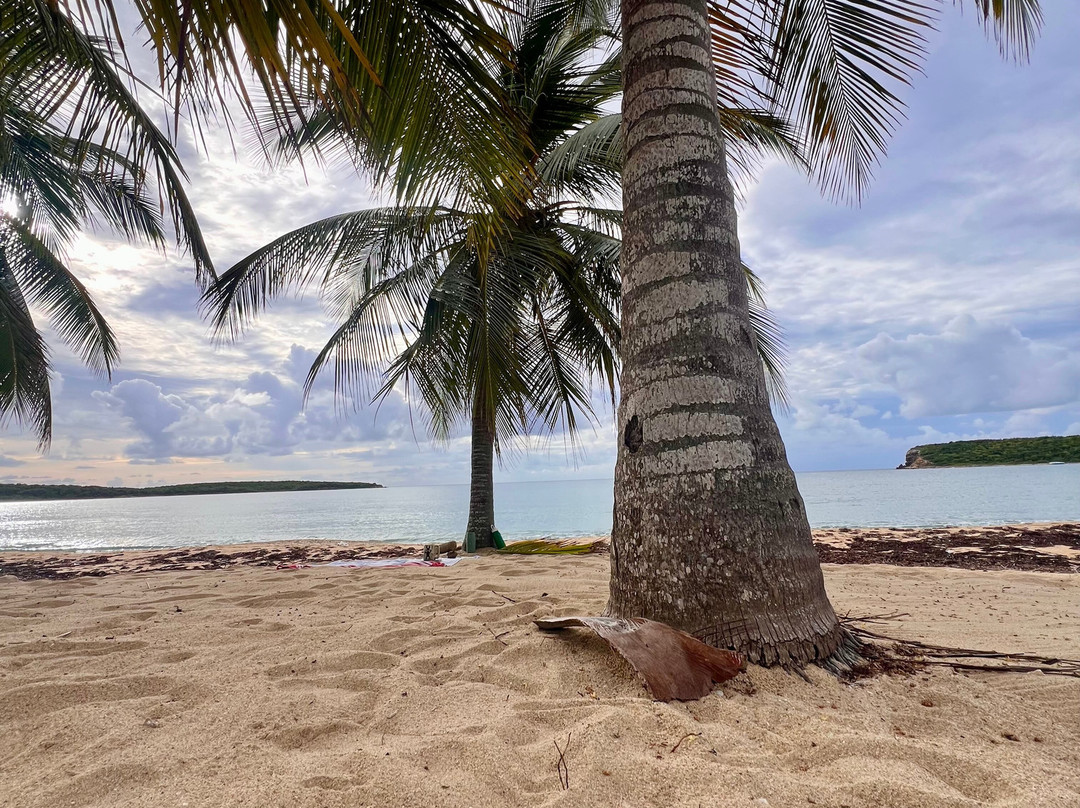 Vieques Wellness and Yoga-Vieques必去景点