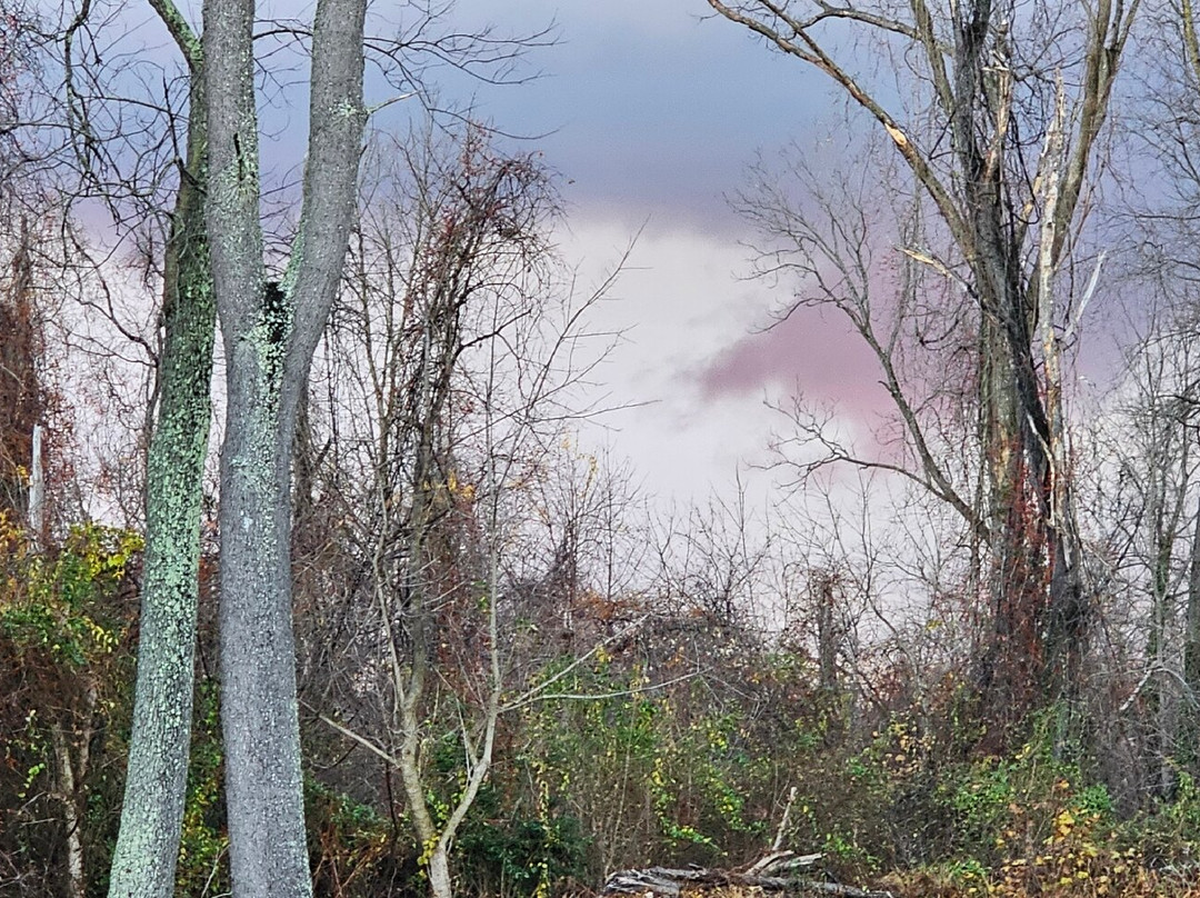 Joppa Historic District-Joppa必去景点
