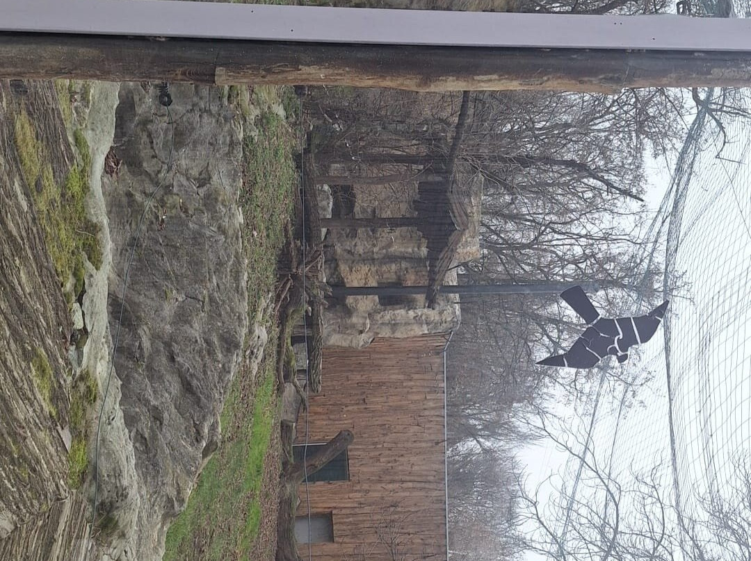 ZOO Bratislava-布拉迪斯拉发必去景点