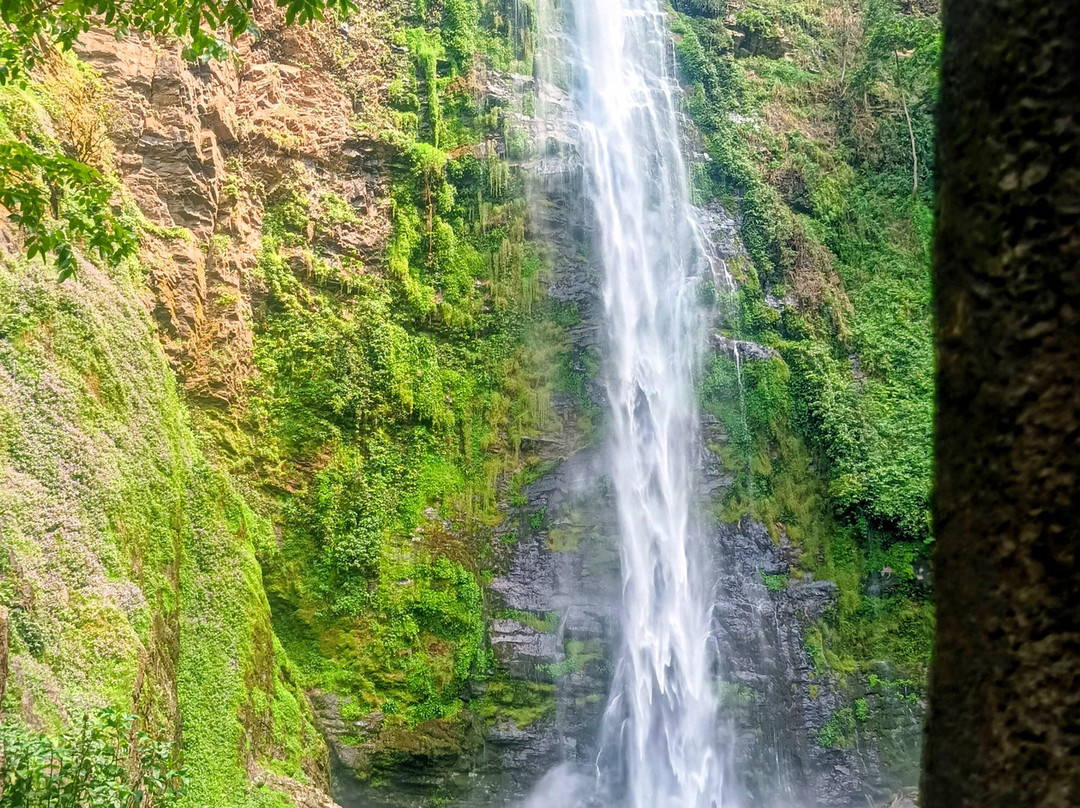 Wli Waterfalls-Afegame必去景点