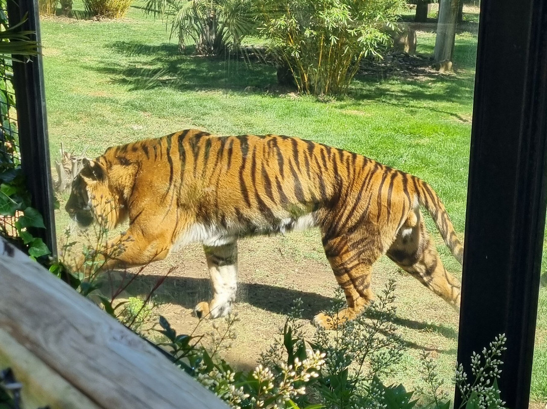 国家动物园及水族馆-堪培拉必去景点
