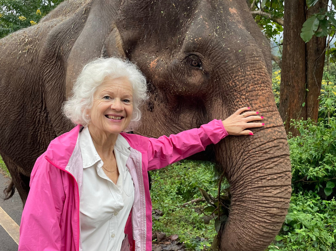 Elephant Special Tours-清迈府必去景点