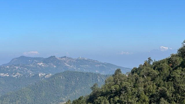 Te Aroha By Shervani主图