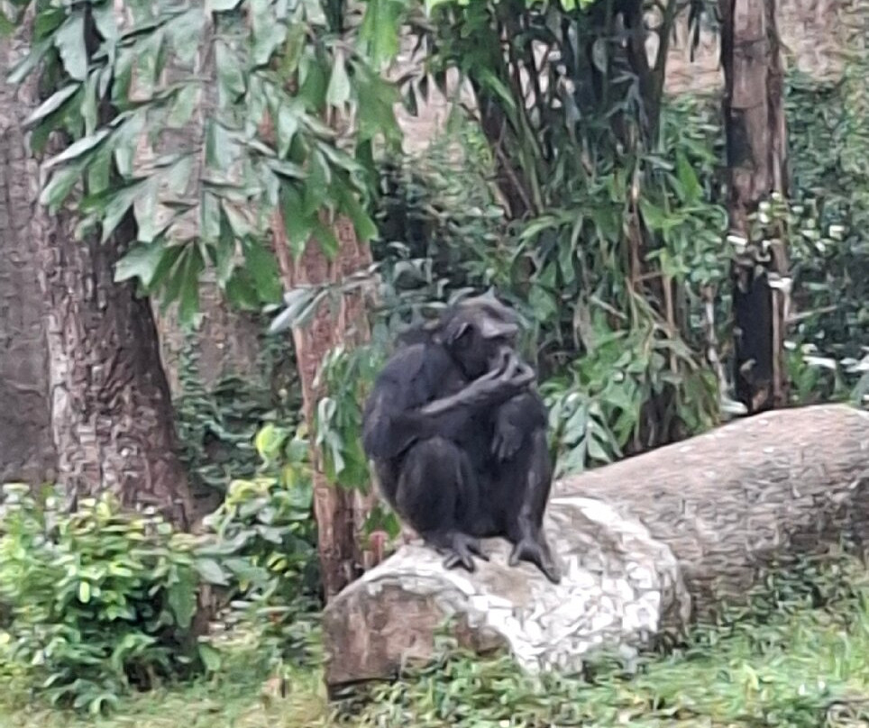 珍珠王国野生动物园-富国岛必去景点
