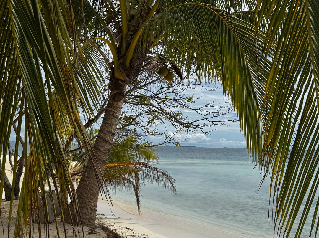 Balabac Tour By The Wanderwalkers-巴拉巴克必去景点
