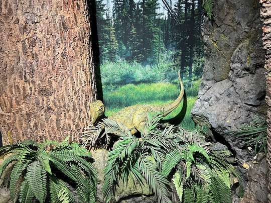 国家澳宝收藏馆-墨尔本必去景点