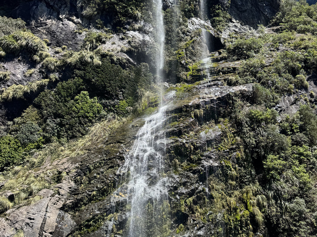 Fiordland Expeditions - Doubtful Sound Overnight Cruises & Multi Day Charters-马纳普里必去景点