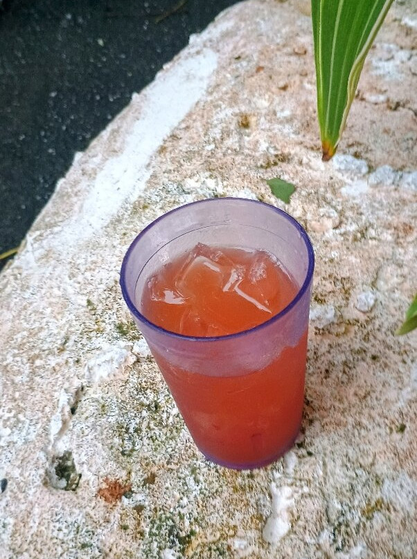 Ted's Tours-Hastings必去景点