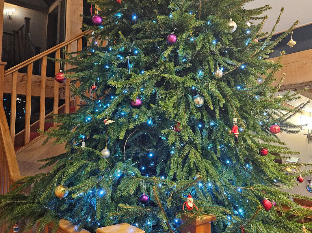 The Old Red Lion主图