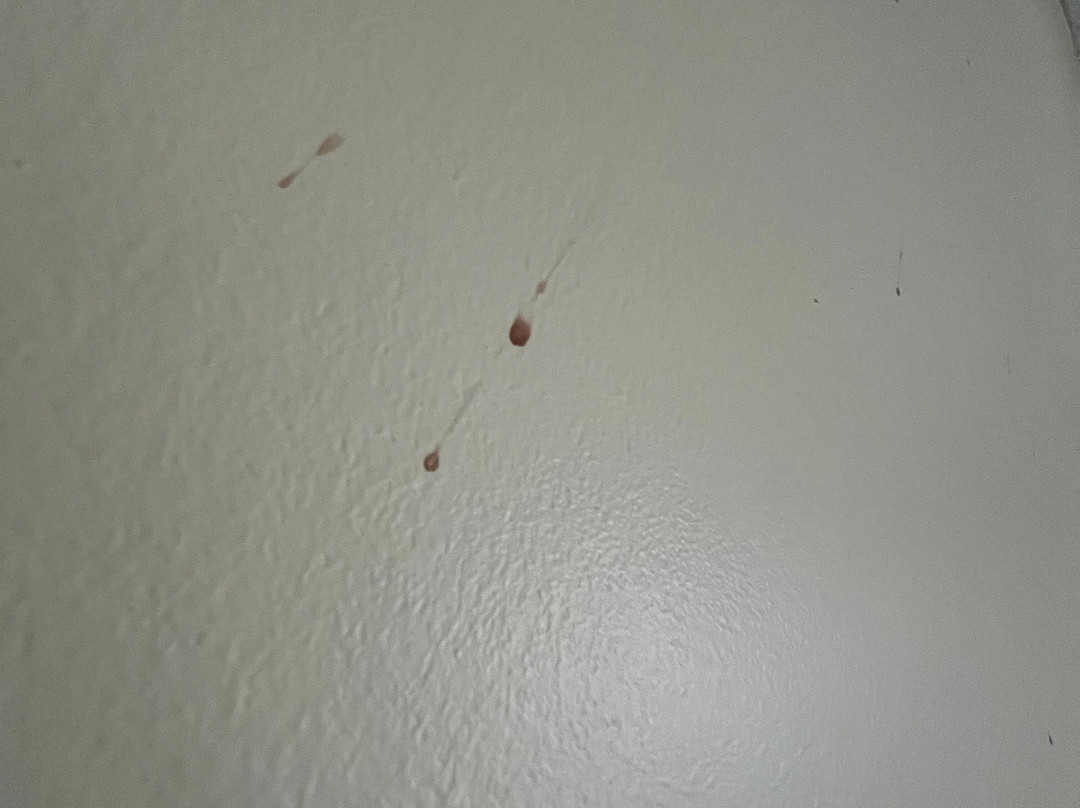 巴里速8酒店主图