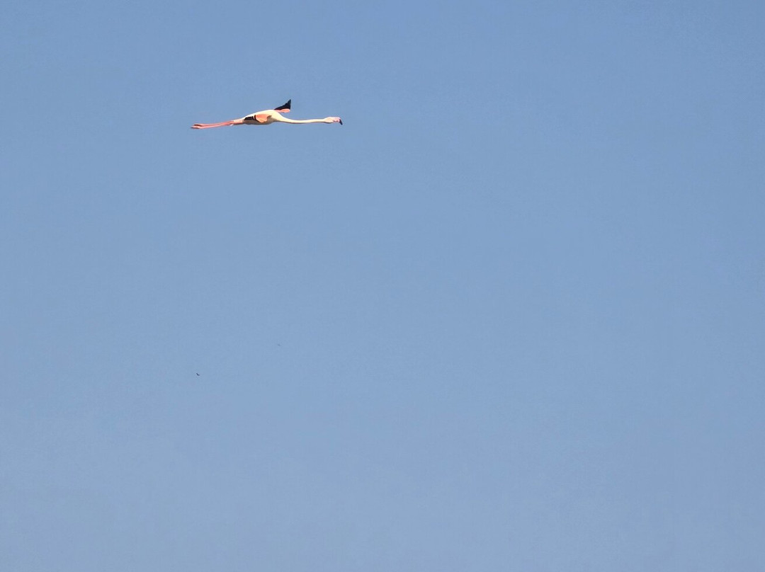 Heaven Of Kutch Khavda To Dholavita Road-Dholavira必去景点