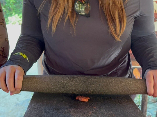 Bee Friendly Conservation Park-考祖梅必去景点