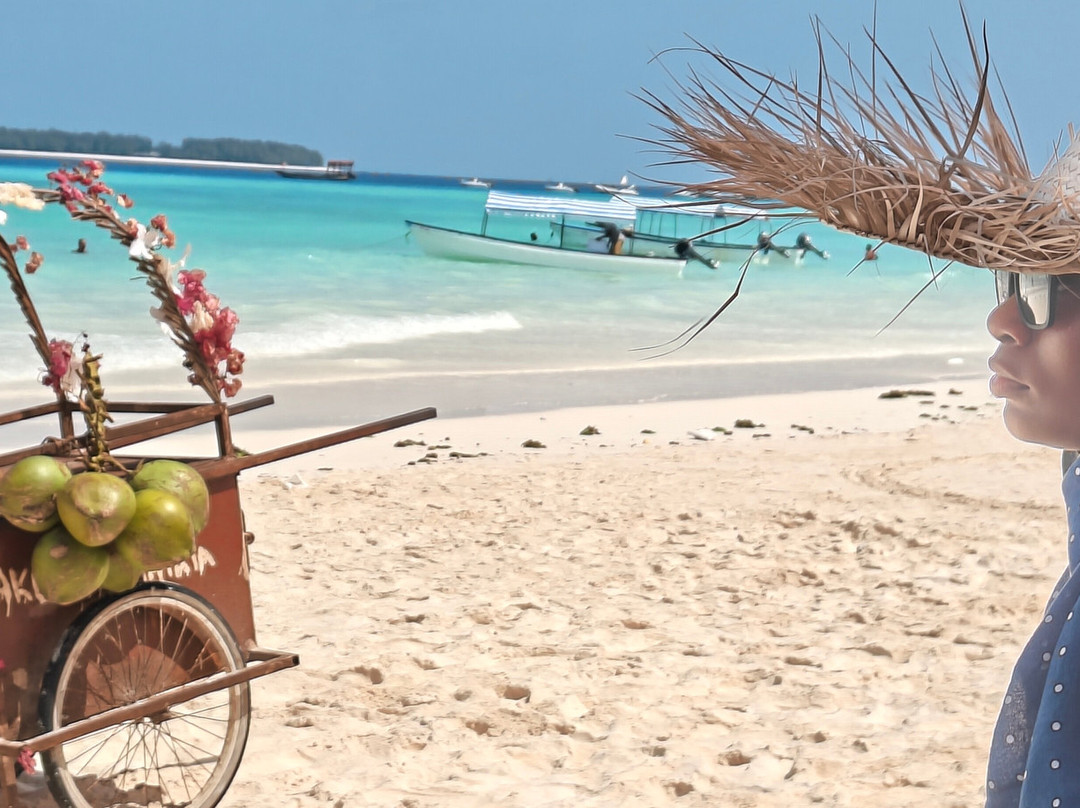 Mnemba Island-姆内巴必去景点