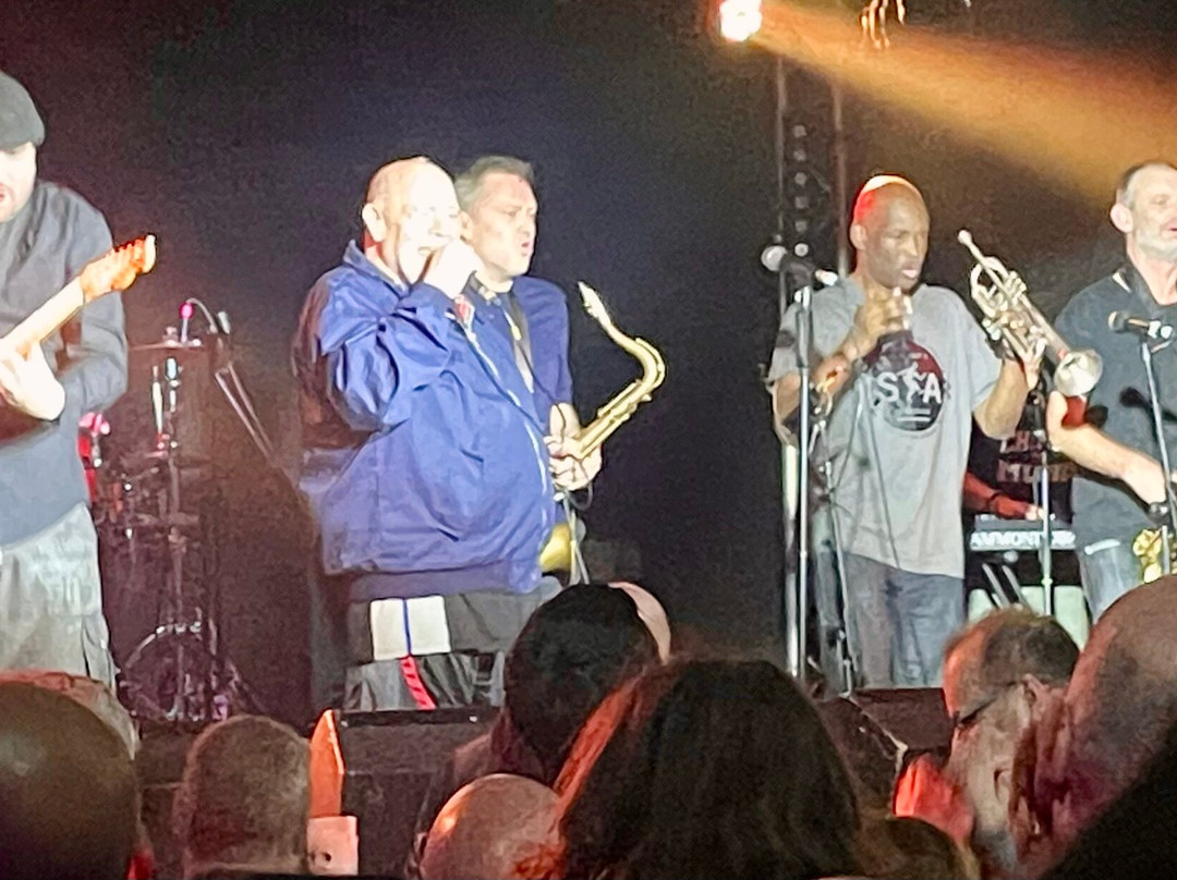 The Hairy Dog-德比必去景点