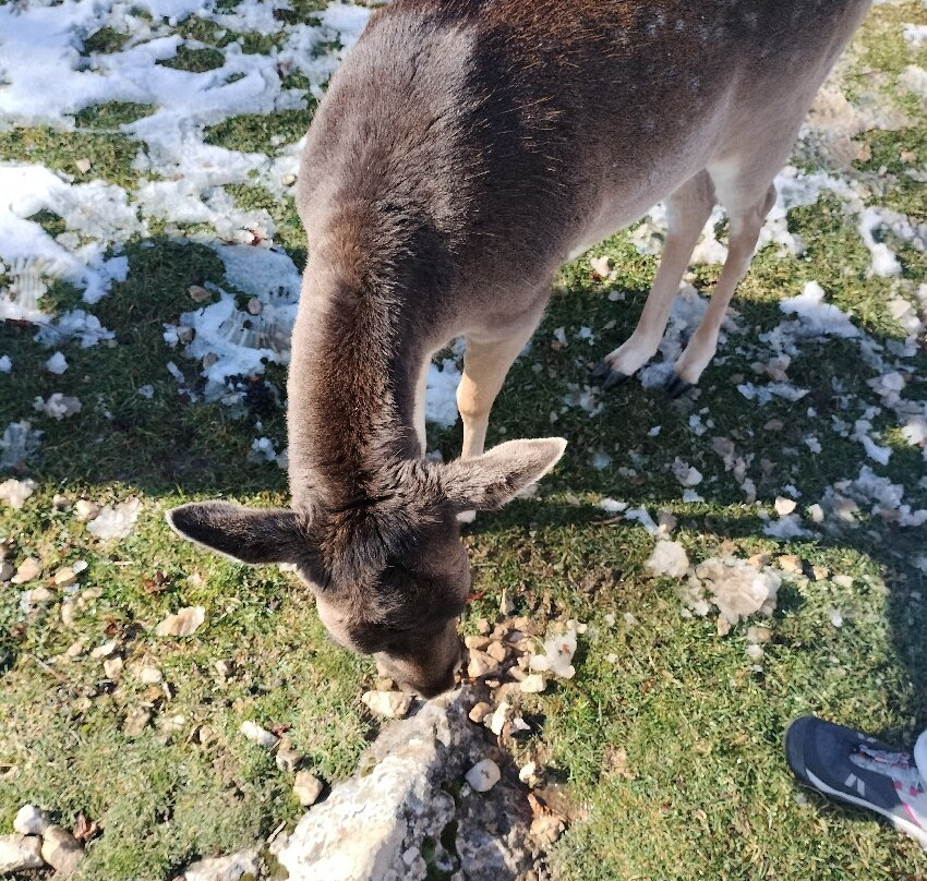 Centro Visita Daini-Scanno必去景点