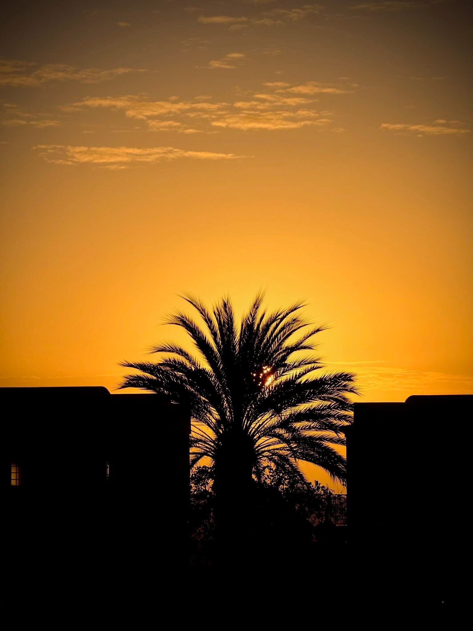 Palm Oasis Maspalomas-官方