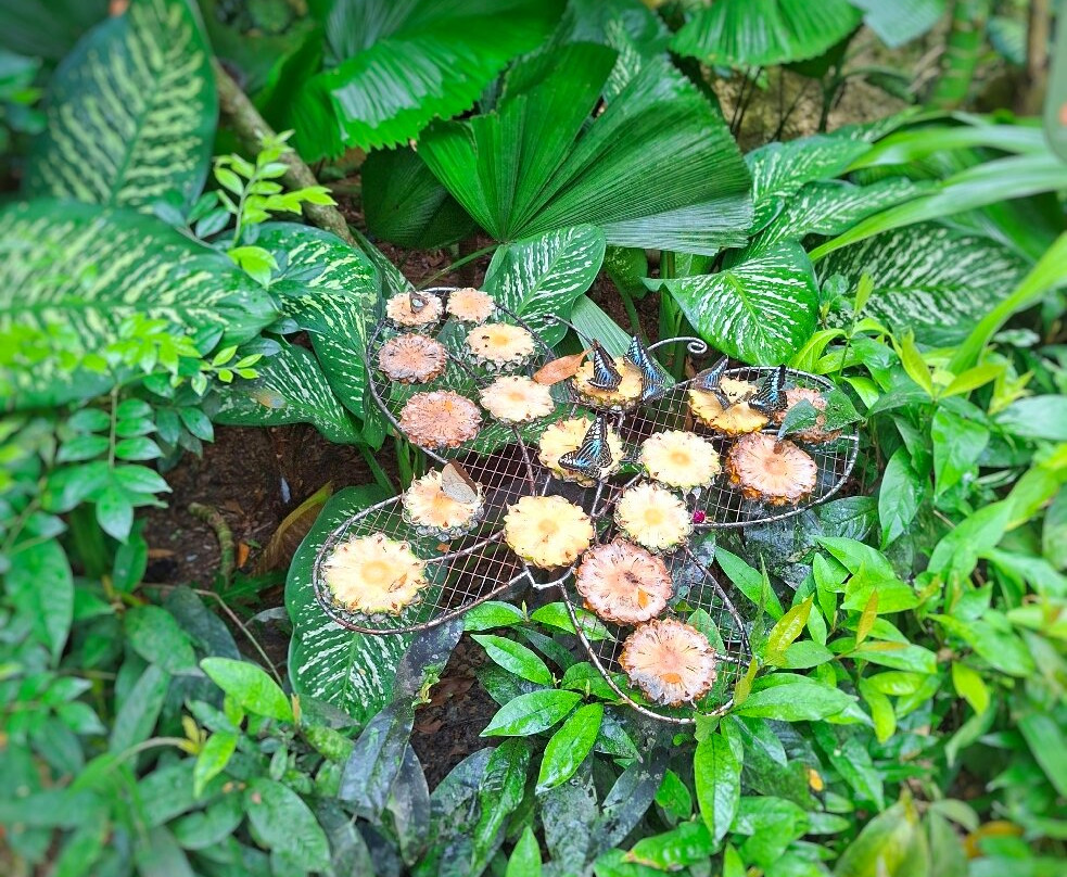 蟲鳴大地-巴巷海滩必去景点