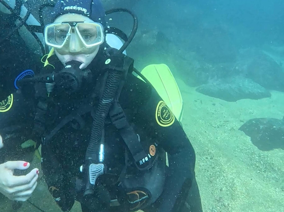 Buceo Quintay-Quintay必去景点